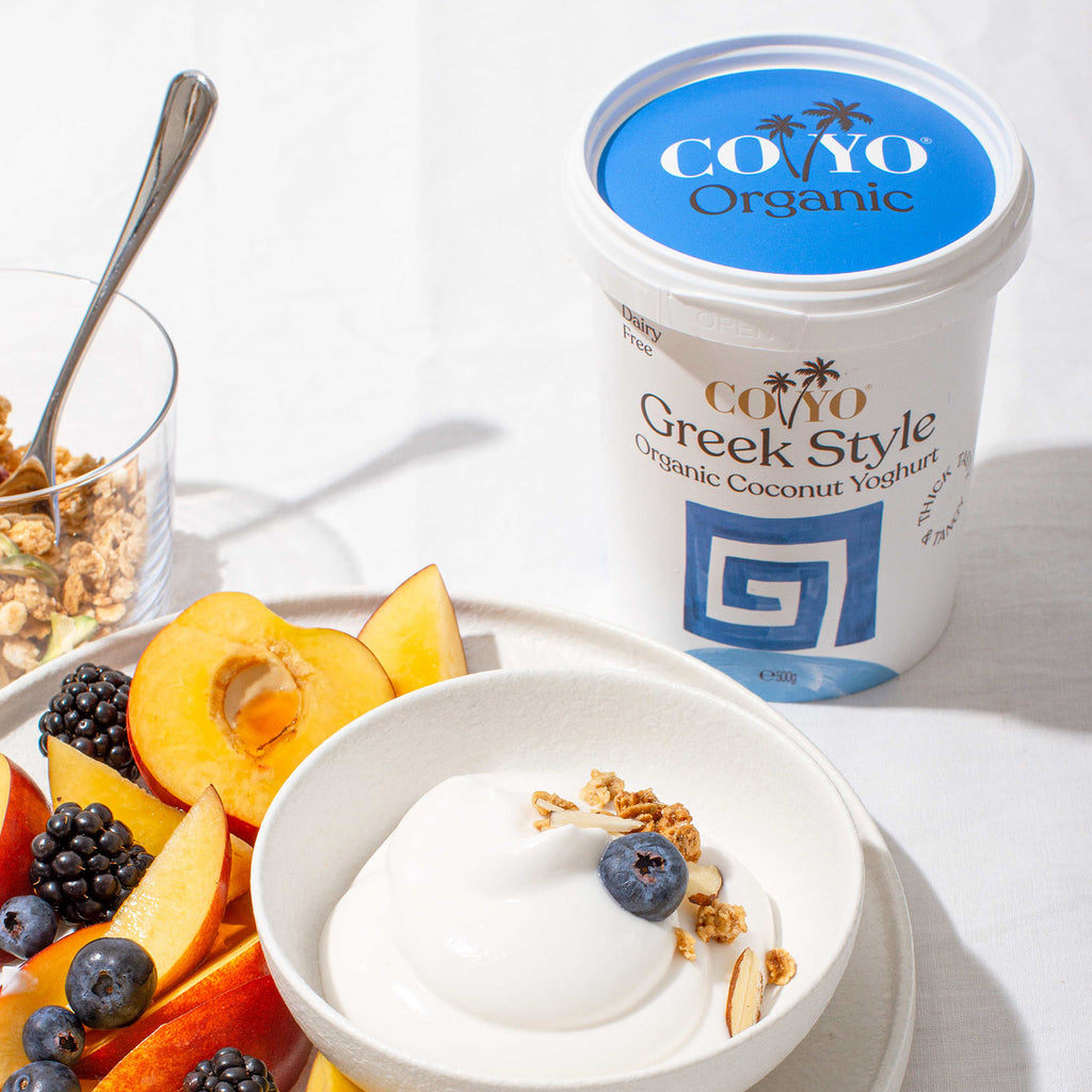 Coyo Plant Based Coconut Yogurts